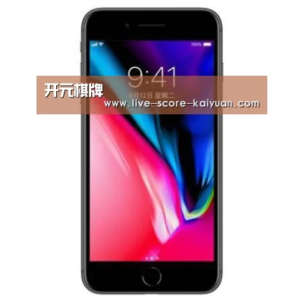 Apple iPhone 8 Plus (A1899) 64GB 深空灰色 移动联通4G手机
